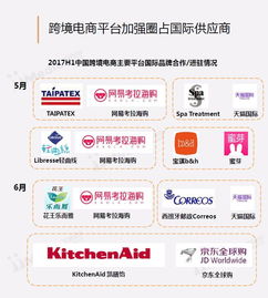 2017上半年中國跨境電商市場研究報(bào)告 便宜的海淘物流成為發(fā)展關(guān)鍵